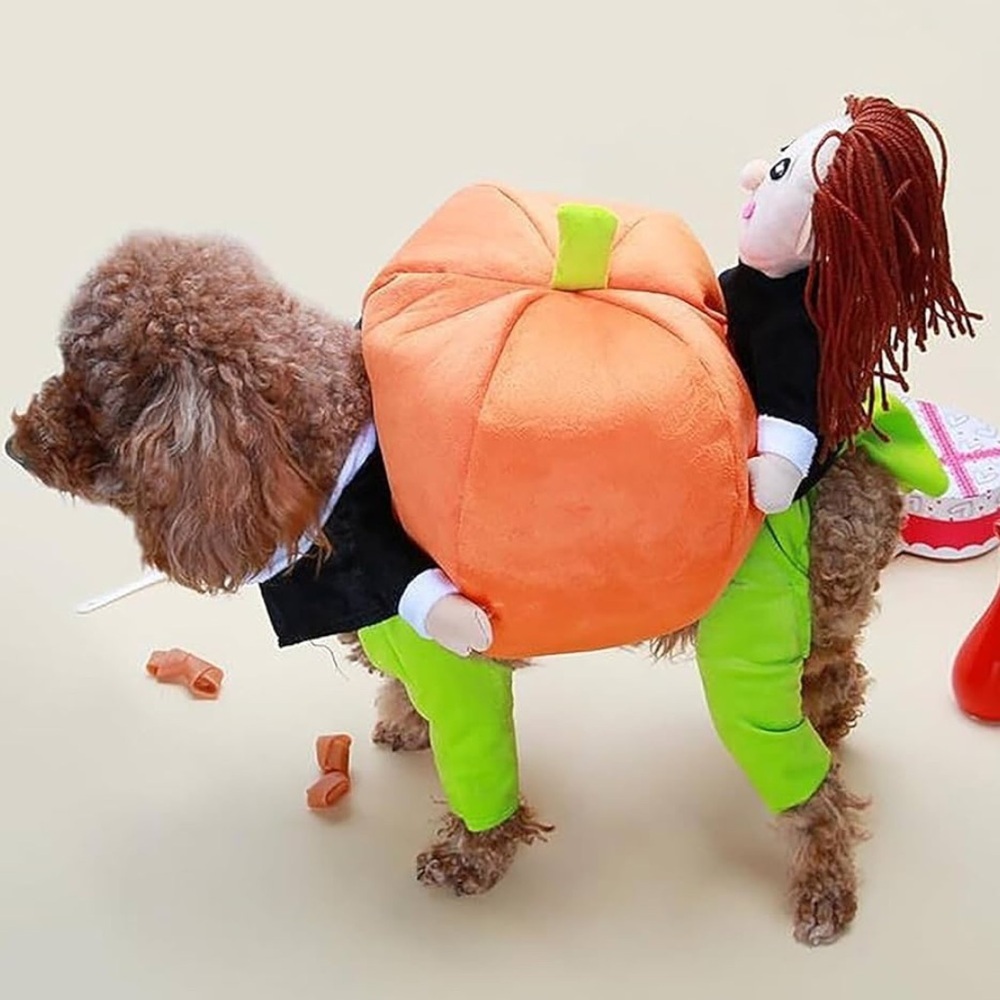 Pet Halloween costume XXlarge - Picture 3 of 13
